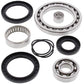 All Balls Racing Rear Differential Bearing and Seal Kit 25-2045